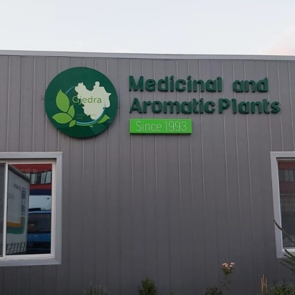 WhatsApp Image 2023-01-30 at 10.06.55 PM (1)